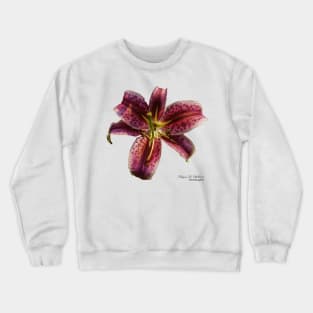 Stargazer Lily Crewneck Sweatshirt